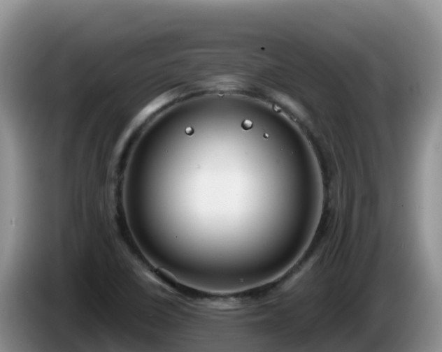 X0000086251410200704051230