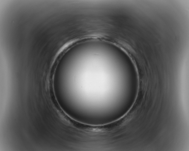 X0000086251412200704051230