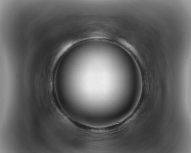 X0000086251415200704051231