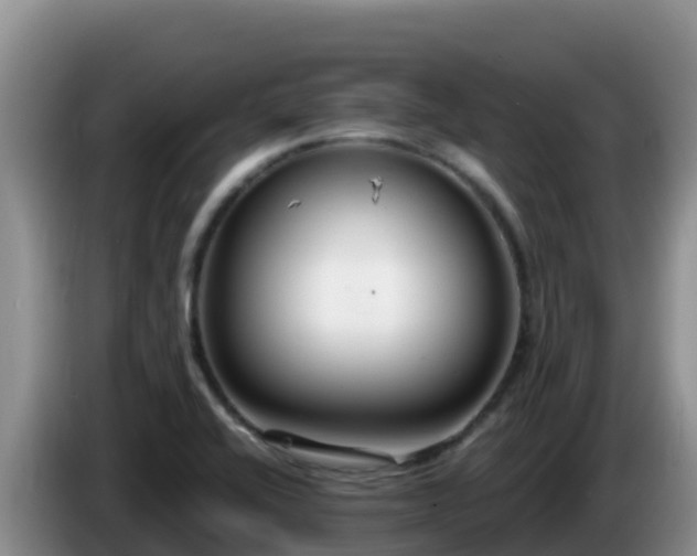 X0000086251416200704051231