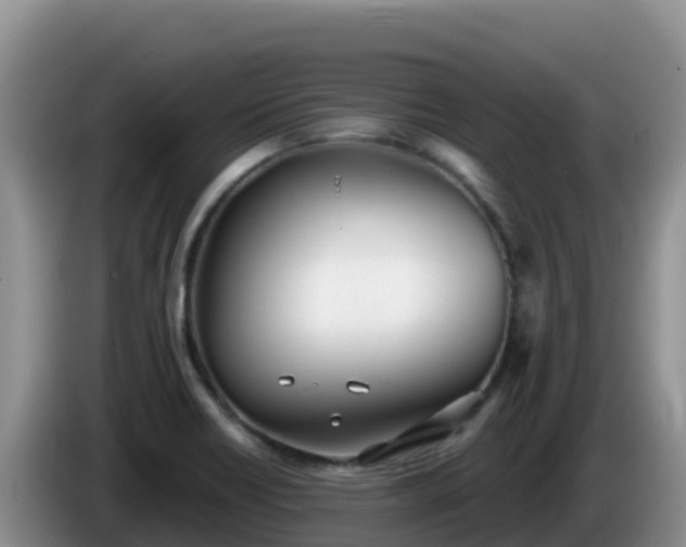 X0000086251418200704051231