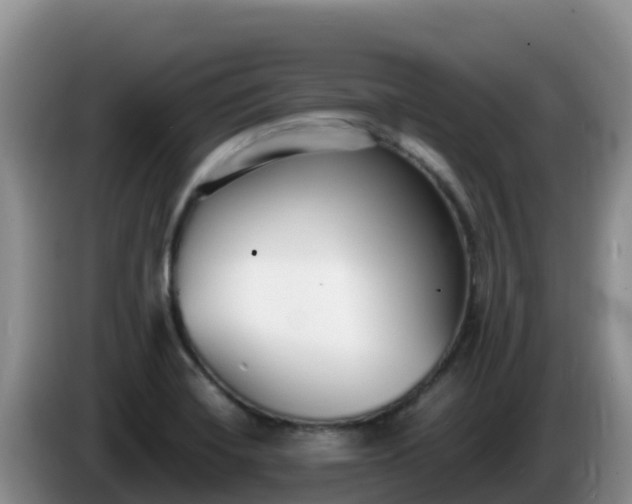 X0000086251420200704051231
