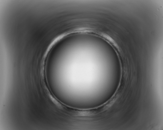 X0000086251421200704051231