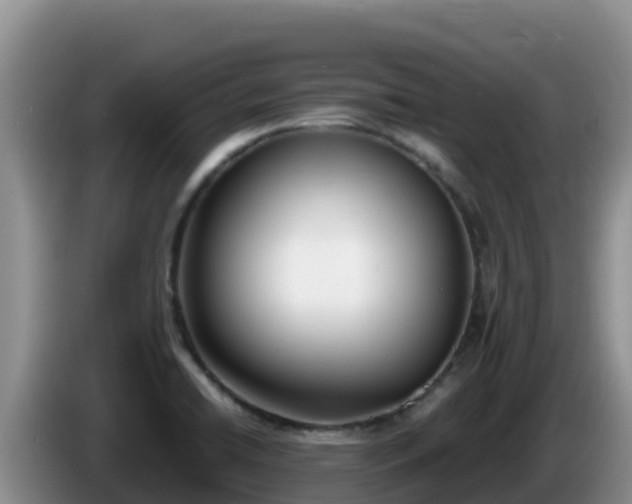 X0000086251422200704051231