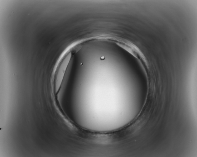 X0000086251424200704051231