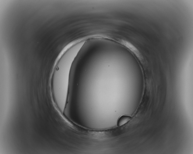 X0000086251428200704051231