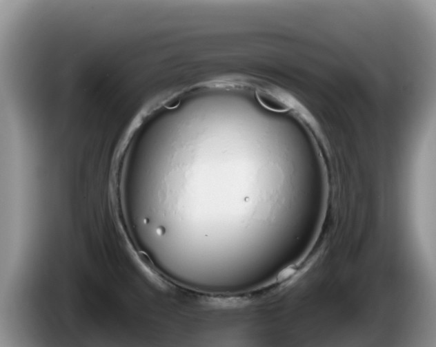 X0000086251429200704051231