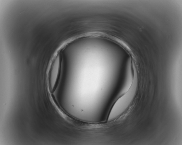 X0000086251430200704051231