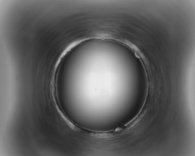 X0000086251432200704051231