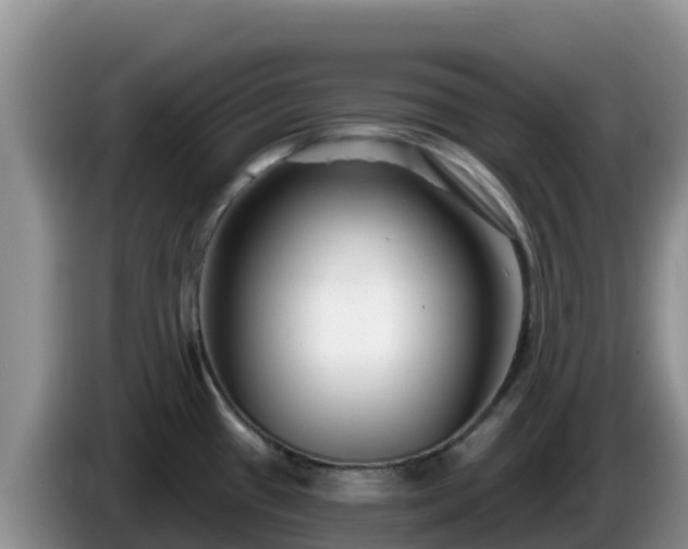 X0000086251433200704051231