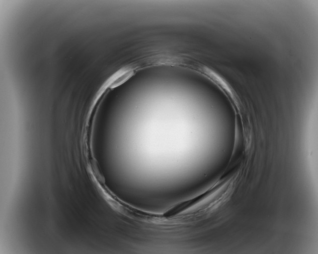 X0000086251434200704051231