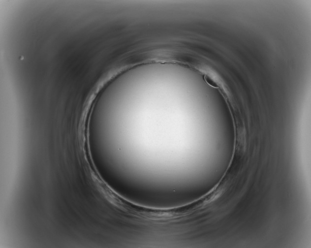X0000086251435200704051231