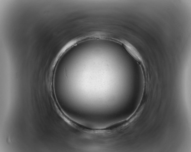 X0000086251437200704051231