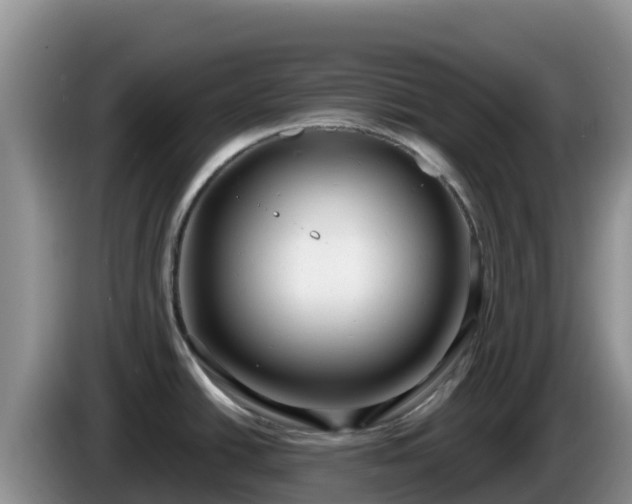 X0000086251438200704051231