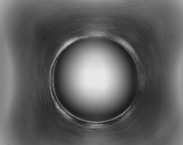 X0000086251439200704051231