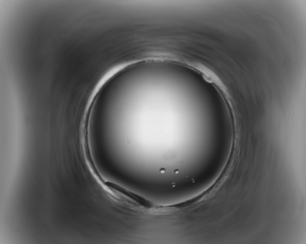 X0000086251440200704051231