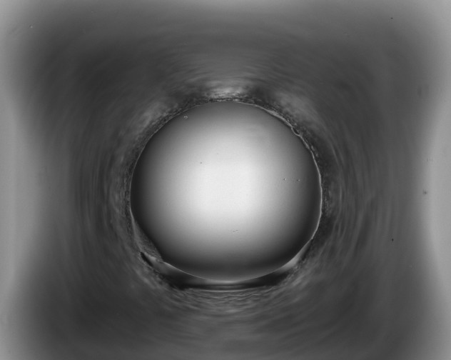 X0000086251441200704051230