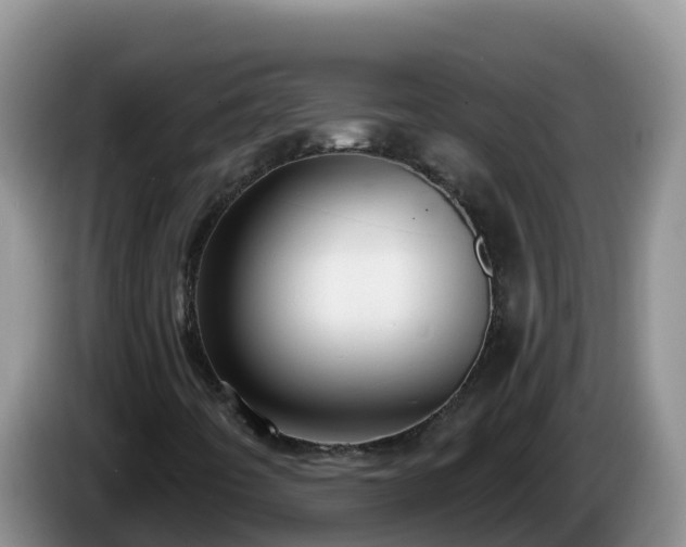 X0000086251442200704051230