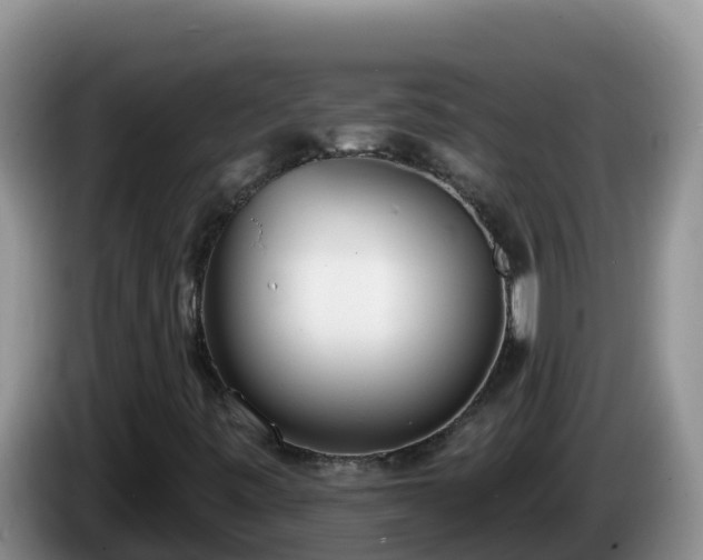 X0000086251443200704051230