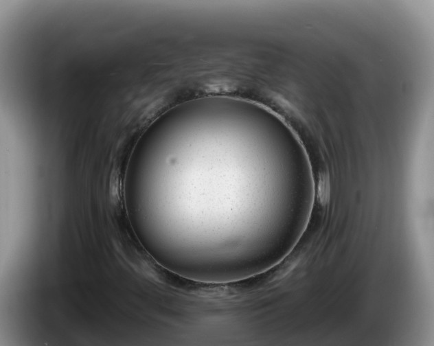X0000086251444200704051230
