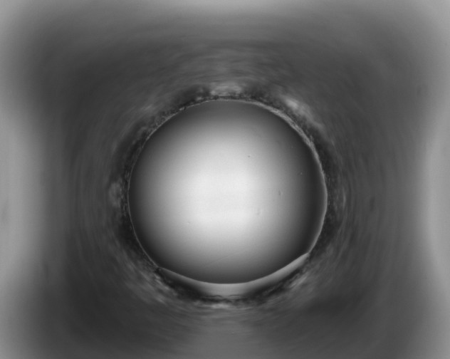 X0000086251445200704051230