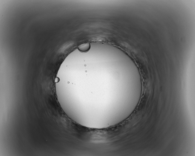 X0000086251446200704051230