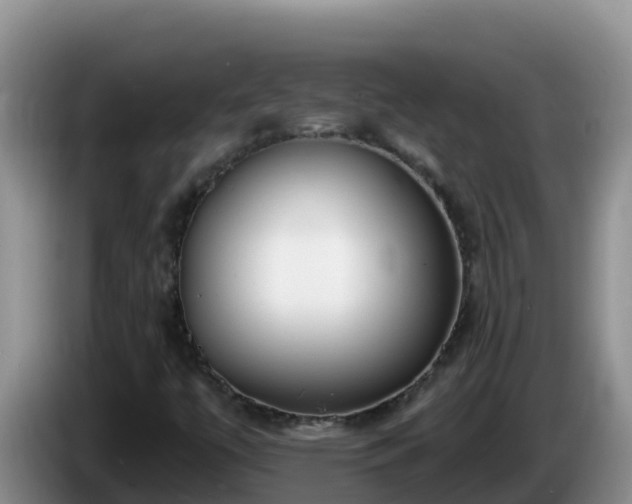 X0000086251447200704051230