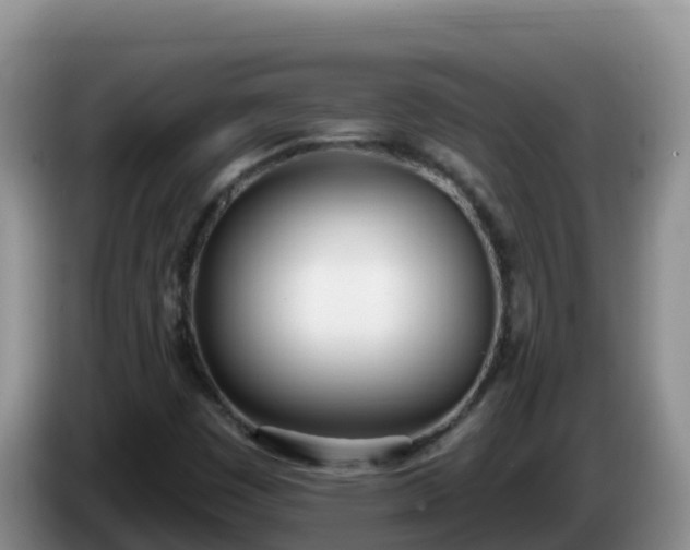 X0000086251449200704051230