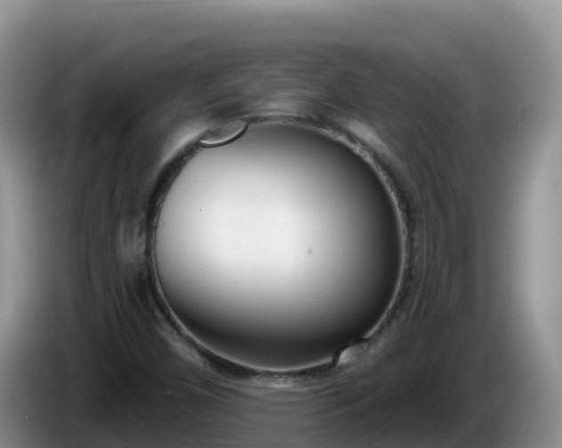 X0000086251450200704051230
