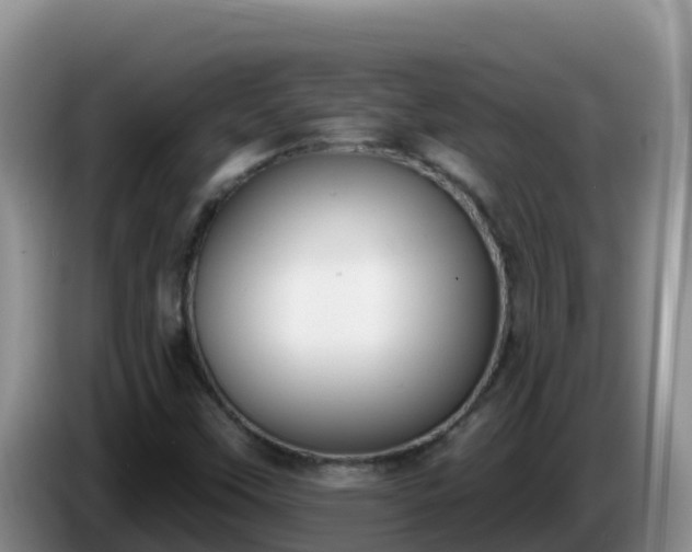X0000086251451200704051230