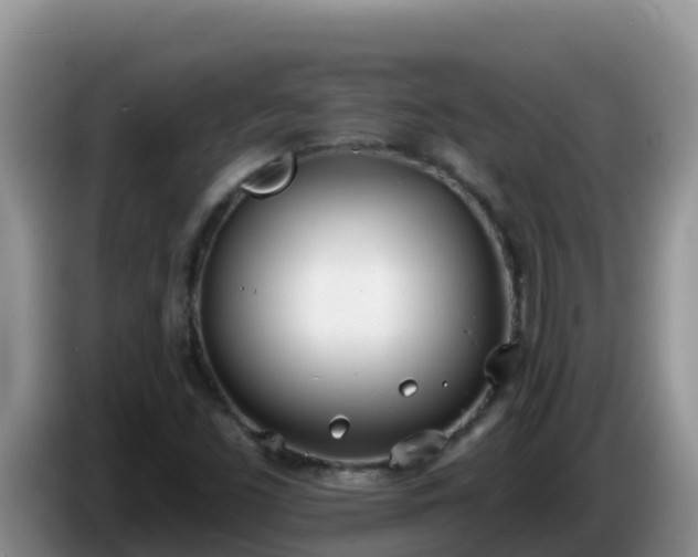 X0000086251453200704051230