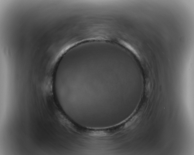 X0000086251455200704051230