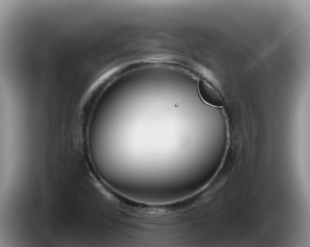 X0000086251456200704051230