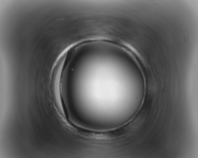 X0000086251460200704051230