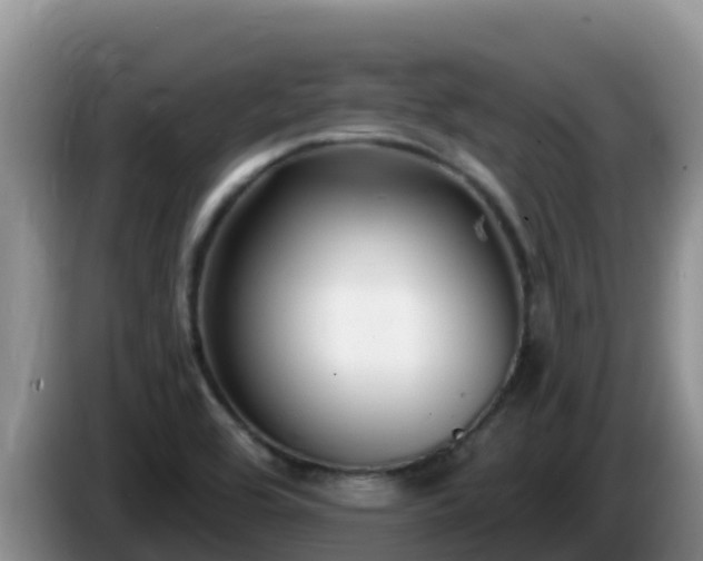 X0000086251464200704051230