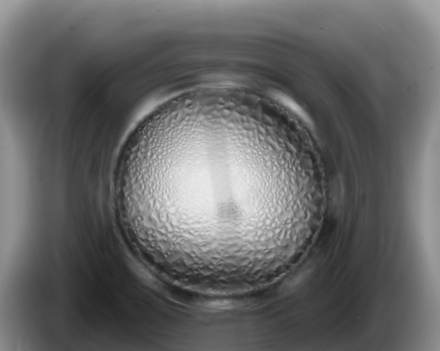 X0000086251467200704051230