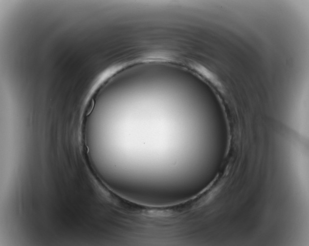 X0000086251469200704051230