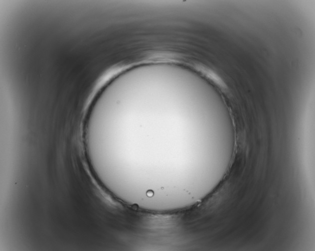 X0000086251470200704051230