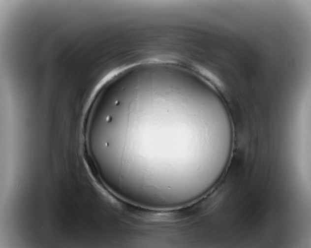 X0000086251471200704051230