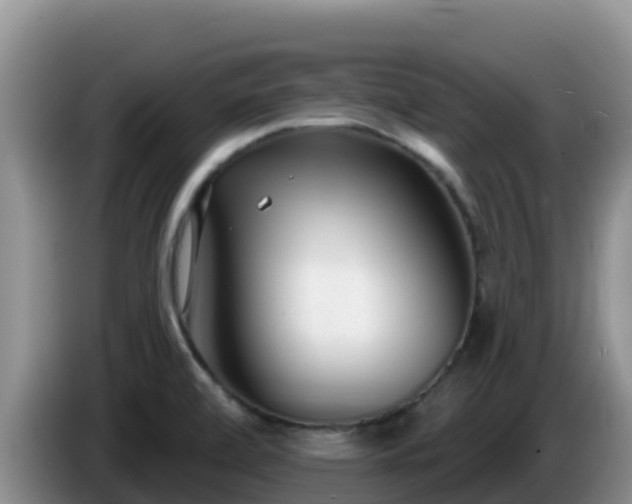 X0000086251472200704051230