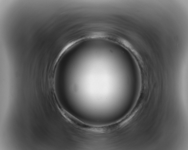 X0000086251473200704051230