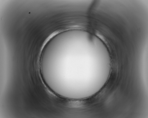 X0000086251474200704051230
