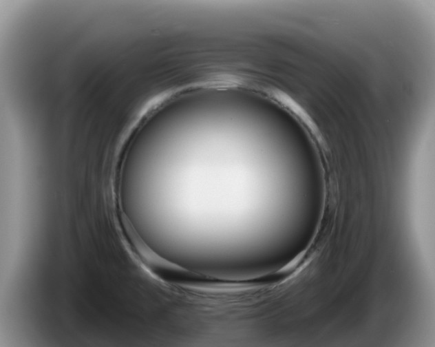 X0000086251477200704051230