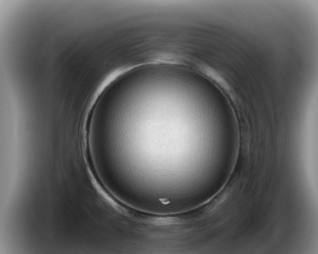 X0000086251479200704051230