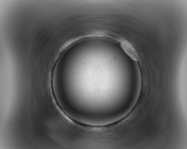 X0000086251480200704051230