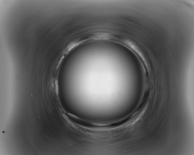 X0000086251481200704051230