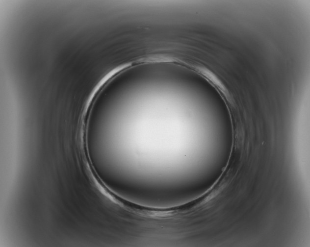 X0000086251484200704051230