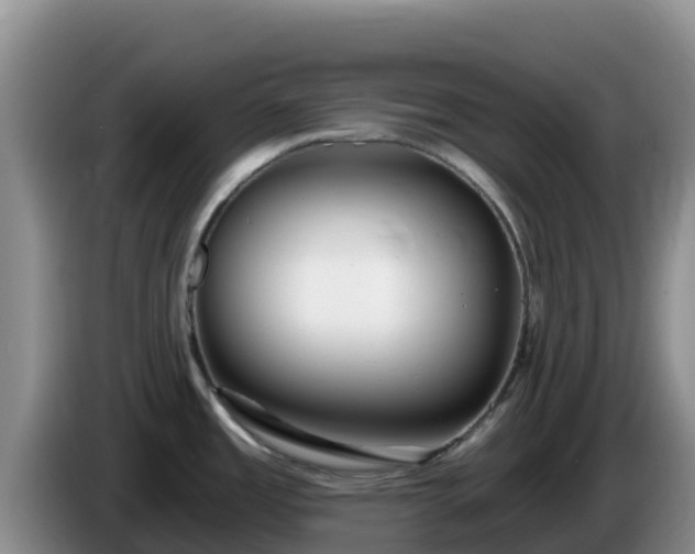 X0000086251485200704051230