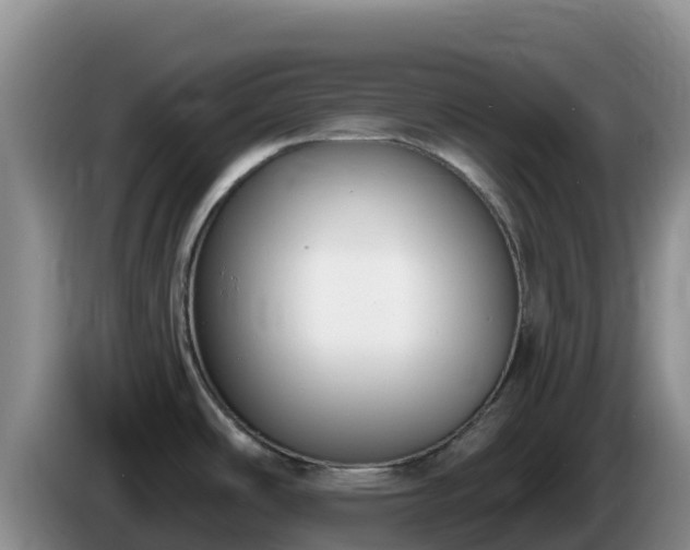 X0000086251486200704051230