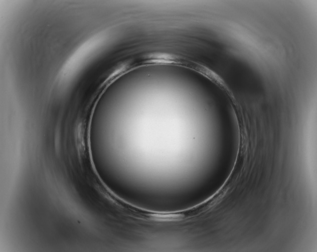 X0000086251487200704051230